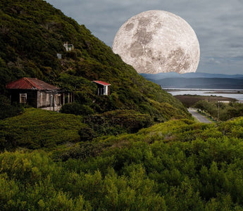 How to Photograph Moon by Using the Photo Expert: Sun Moon Tracker App