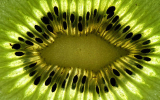 The Beginners Guide to Macro Food Photography