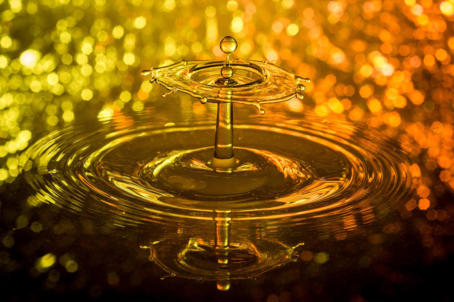 Seven Creative Ideas for Water Drop and Splash Photography