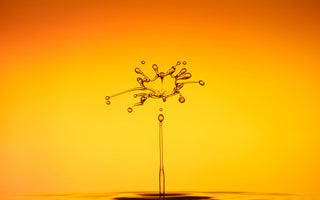 Powerful Water Drop Photography Tips and Techniques