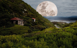 How to Photograph Moon by Using the Photo Expert: Sun Moon Tracker App