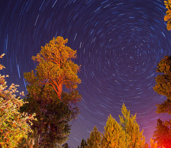How to Take Star Trails