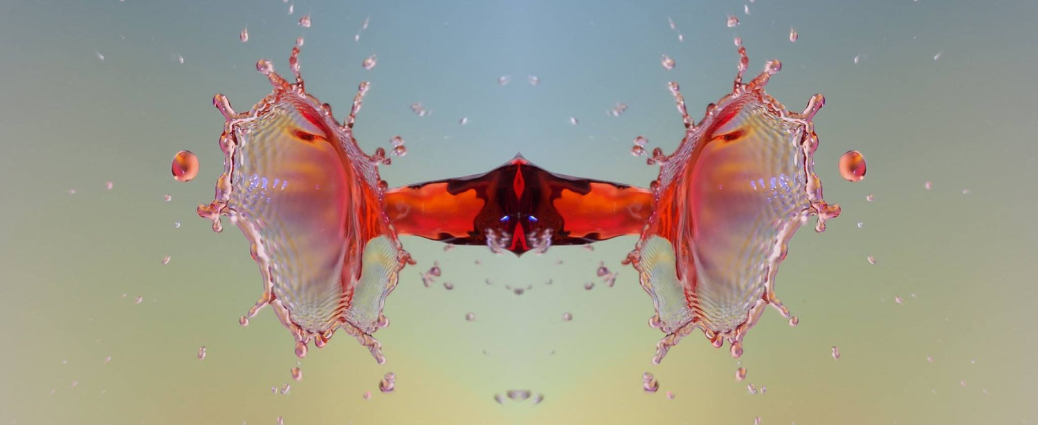 9 Tips for Choosing the Best Water Drop Photography Kit