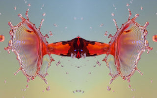 9 Tips for Choosing the Best Water Drop Photography Kit