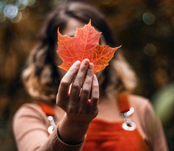 What is the Depth of Field in Photography?