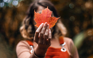 What is the Depth of Field in Photography?