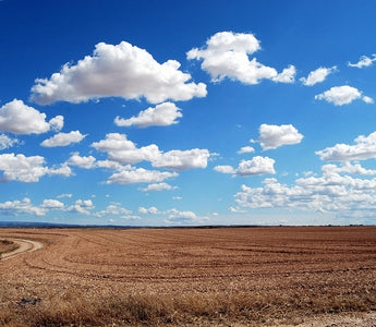 Cloud Timelapse Photography: Techniques for Dynamic Skies