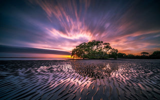 trees near a lake shot under colorful and moving clouds